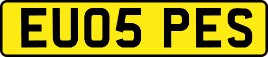 EU05PES