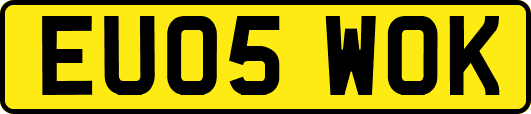 EU05WOK