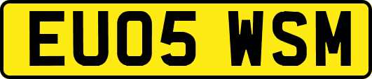 EU05WSM