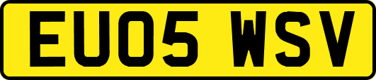 EU05WSV