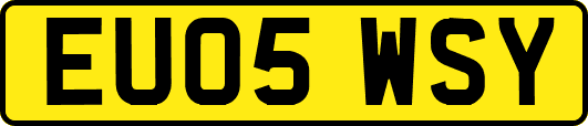 EU05WSY