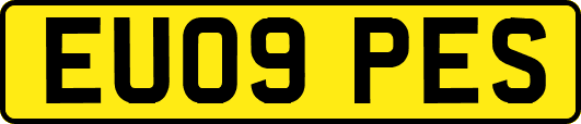EU09PES