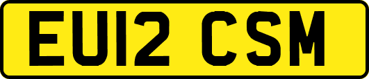 EU12CSM