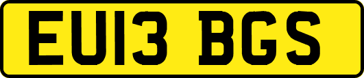EU13BGS