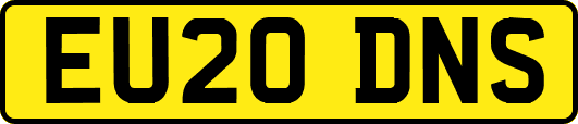 EU20DNS