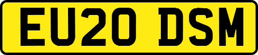 EU20DSM