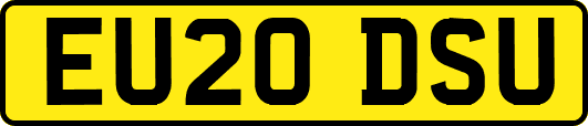 EU20DSU