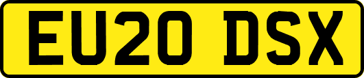 EU20DSX