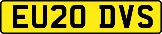 EU20DVS