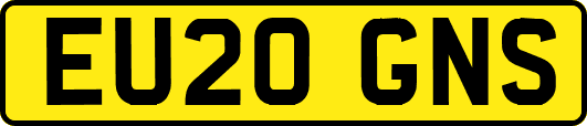 EU20GNS