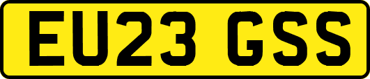EU23GSS