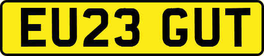 EU23GUT