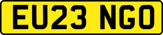 EU23NGO