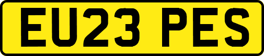 EU23PES