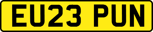 EU23PUN