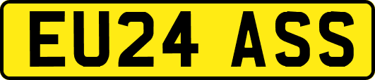 EU24ASS