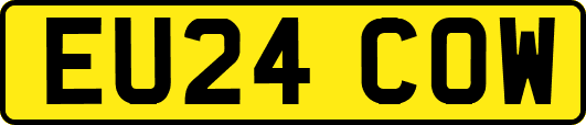 EU24COW