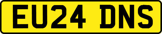 EU24DNS