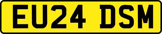 EU24DSM