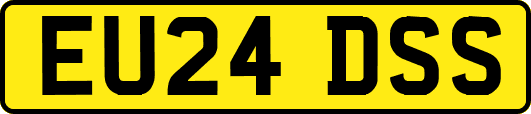 EU24DSS