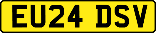 EU24DSV