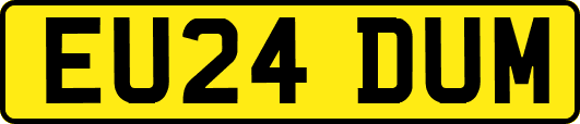 EU24DUM