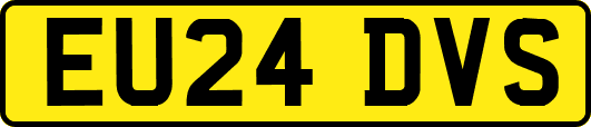 EU24DVS