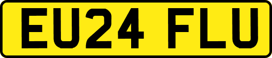 EU24FLU