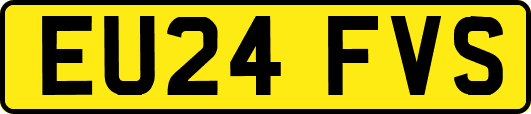 EU24FVS