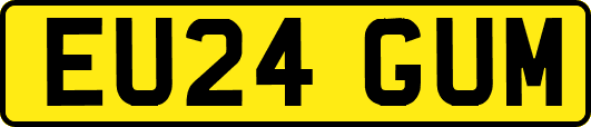EU24GUM