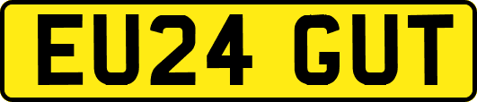 EU24GUT