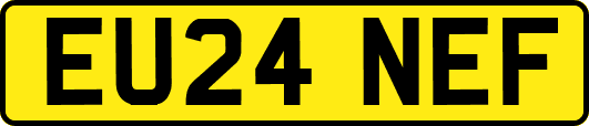 EU24NEF