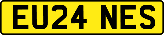 EU24NES