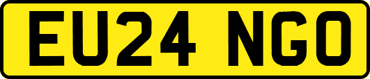 EU24NGO