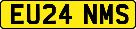 EU24NMS
