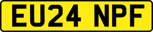 EU24NPF