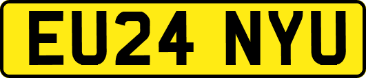 EU24NYU