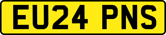 EU24PNS
