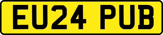 EU24PUB