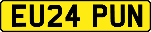 EU24PUN