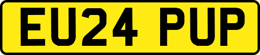 EU24PUP