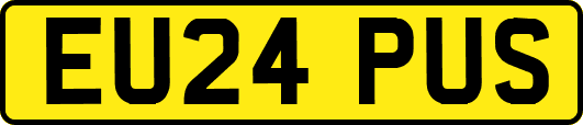 EU24PUS