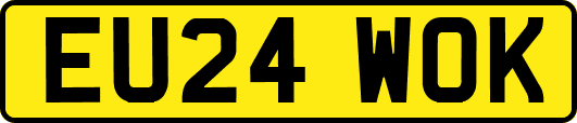 EU24WOK