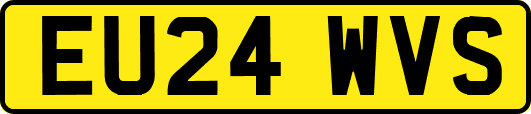 EU24WVS