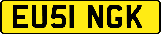 EU51NGK
