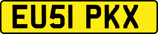 EU51PKX