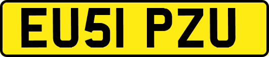 EU51PZU