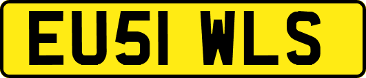 EU51WLS