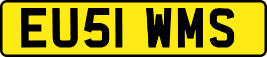 EU51WMS