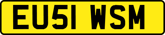 EU51WSM